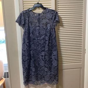 PATRA woman lace evening dress.